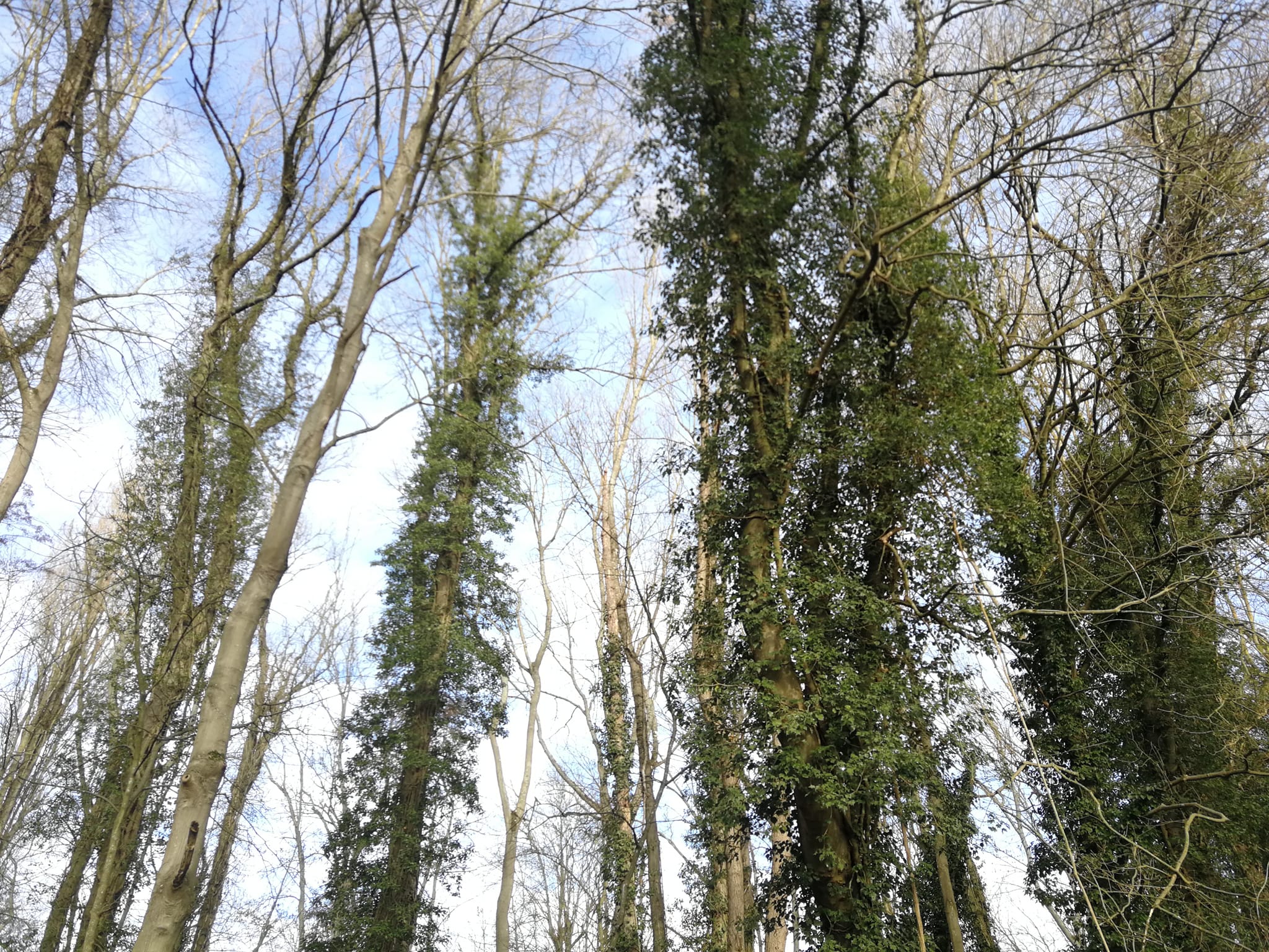 Respect des milieux naturels