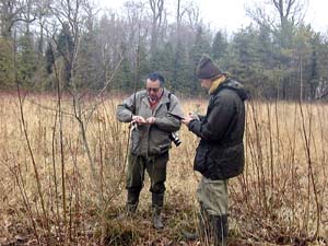 Protection des arbres et forêts